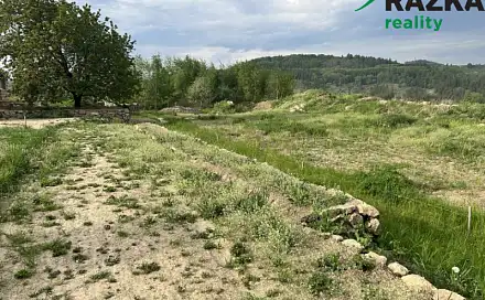 Prodej komerčního pozemku 4 866 m², Lestkov, okres Tachov