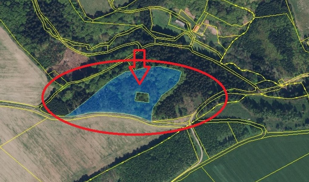 Prodej lesa 5 585 m², Liberk – náhled fotky 15