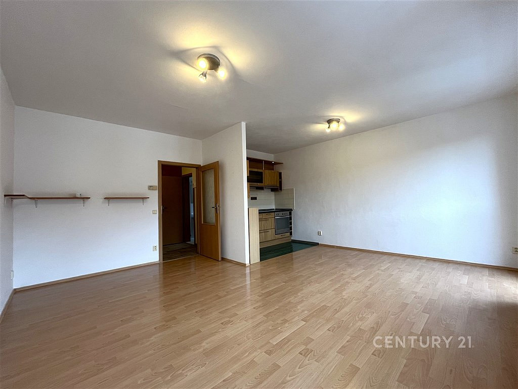 Pronájem bytu 1+kk 49 m² — photo 3