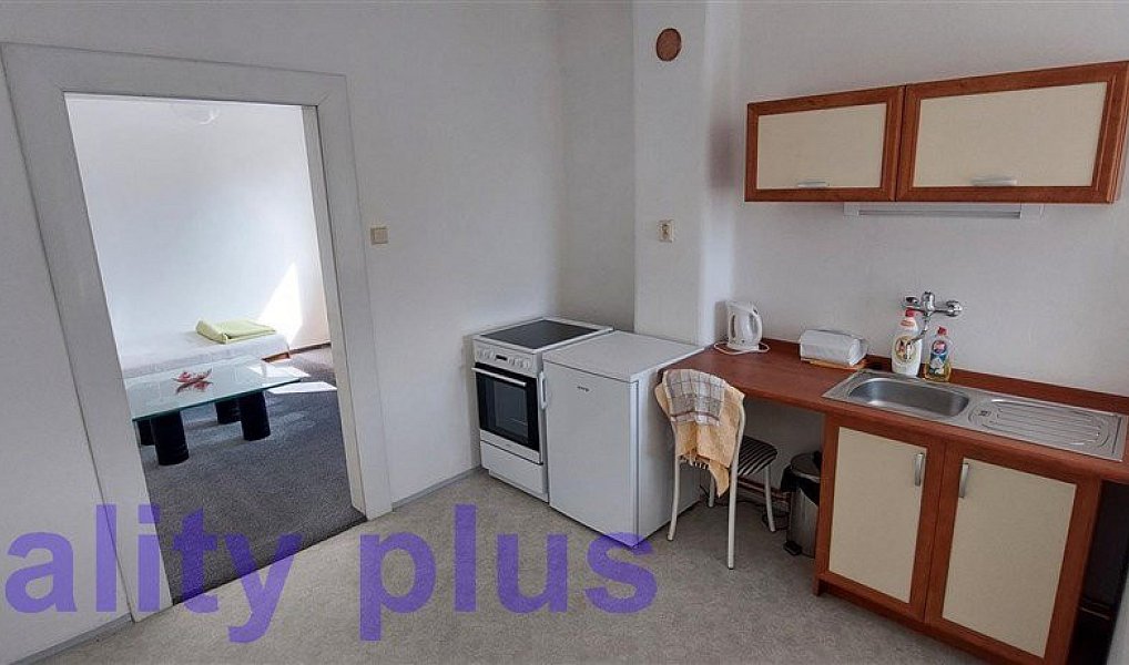 Prodej domu 250 m² s pozemkem 3 692 m², Heřmanice – náhled fotky 19