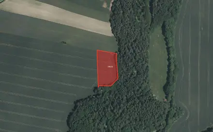 Prodej pole 3 923 m², Příbram - Zavržice
