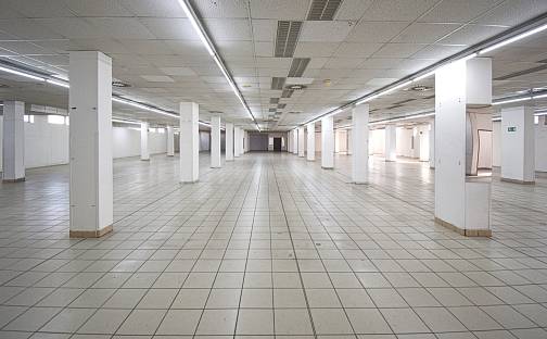 Pronájem obchodních prostor 1 600 m², Sousedská, Plzeň - Lobzy