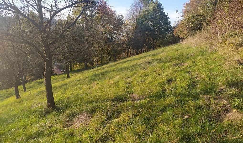 Prodej stavebního pozemku 2 994 m², Vsetín – náhled fotky 2