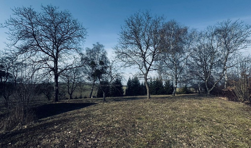 Prodej stavebního pozemku 3 362 m², Vítonice – náhled fotky 17