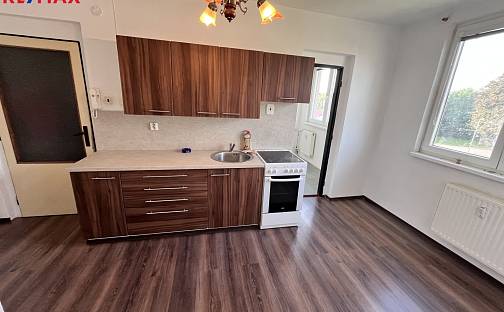 Prodej bytu 3+1 58 m², Nová Cerekev, okres Pelhřimov