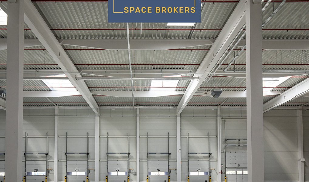 Pronájem skladovacích prostor 69 000 m², Velké Albrechtice – náhled fotky 8