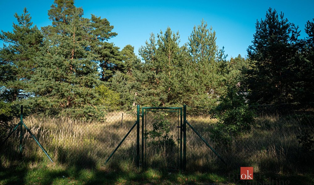 Prodej stavebního pozemku 2 135 m², Kadov – náhled fotky 6