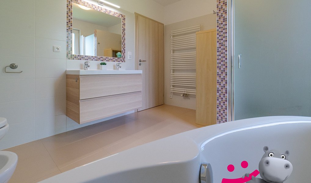Prodej domu 158 m² s pozemkem 735 m², Ostrata – náhled fotky 15
