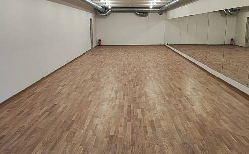 Pronájem obchodních prostor 540 m², Jiřího Herolda, Ostrava - Bělský Les