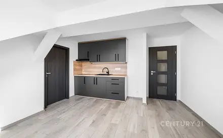 Prodej bytu 2+kk 36 m², Rokycanská, Plzeň - Lobzy