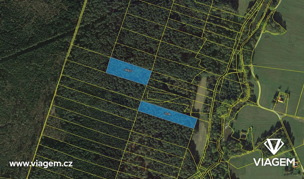 Prodej lesa 13 912 m², Suchdol nad Lužnicí – náhled fotky 4