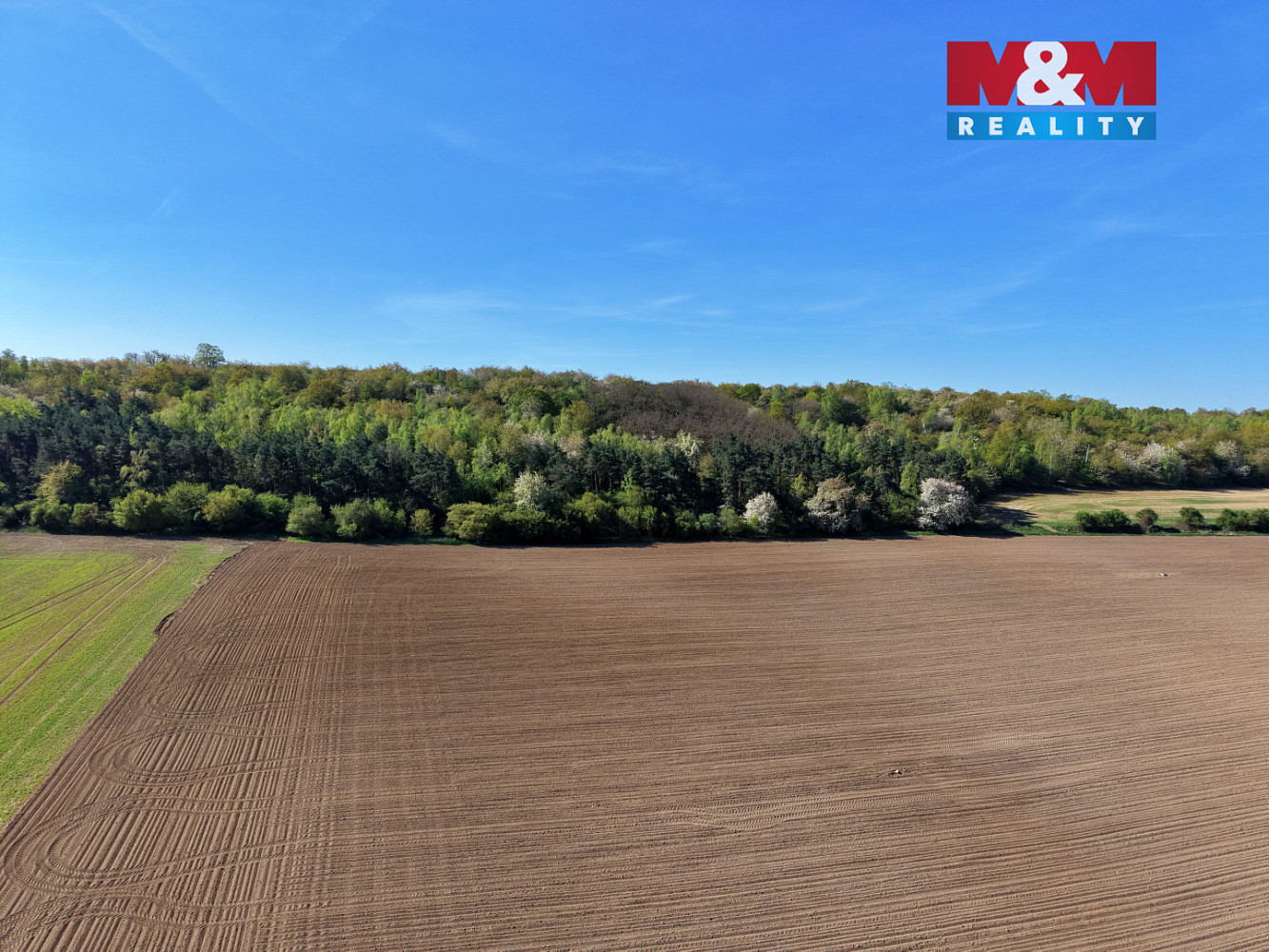 Prodej lesa 5 857 m² – fotografie 5