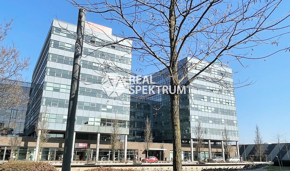 Pronájem kanceláře 240 m², Brno – náhled fotky 4