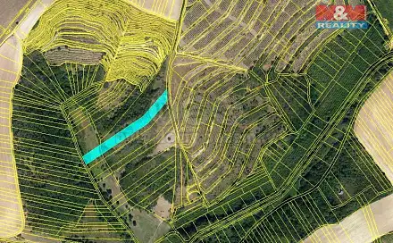 Prodej lesa 3 415 m², Hustopeče, okres Břeclav