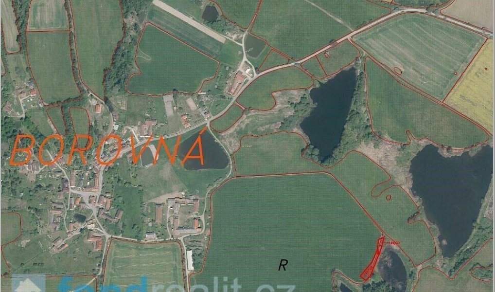 Prodej pozemku 1 225 m², Borovná – náhled fotky 7