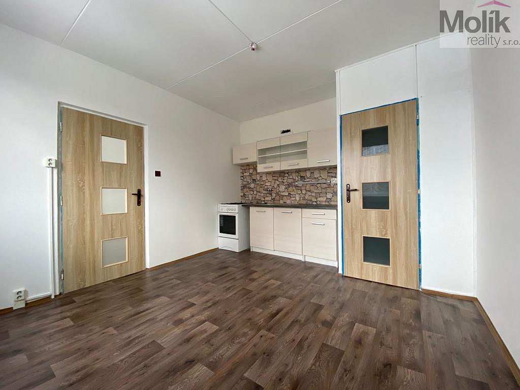 Pronájem bytu 1+1 38 m² – fotografie 5