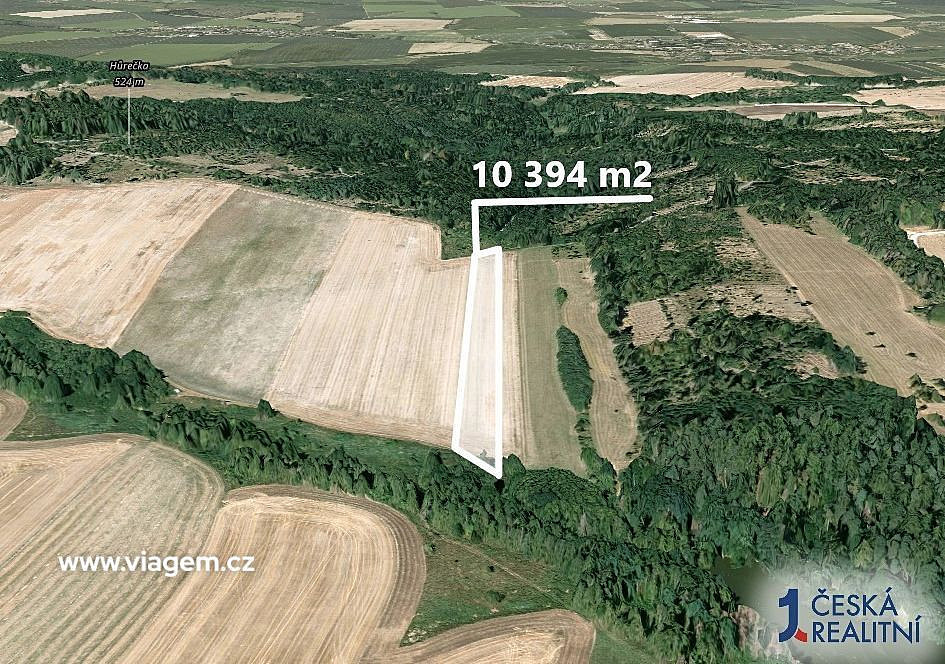 Prodej pole 3 464 m² – fotografie 2
