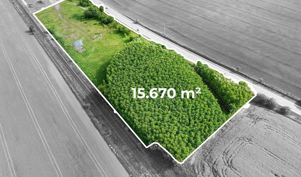 Prodej komerčního pozemku 15 670 m², Krnov – náhled fotky 2