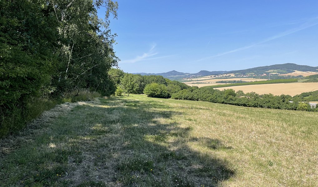 Prodej louky 9 483 m², Polepy – náhled fotky 14