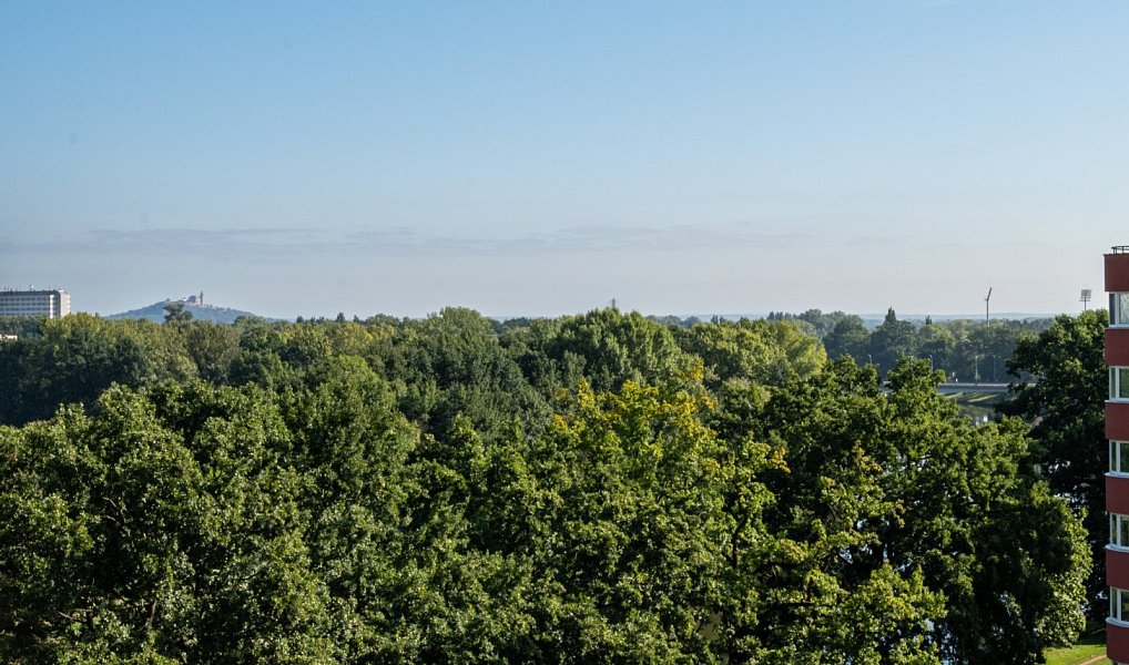 Prodej bytu 2+1 53 m², Pardubice – náhled fotky 20