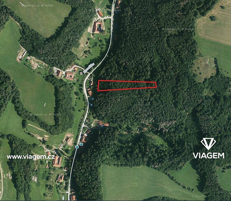 Prodej lesa 2 703 m², Letovice