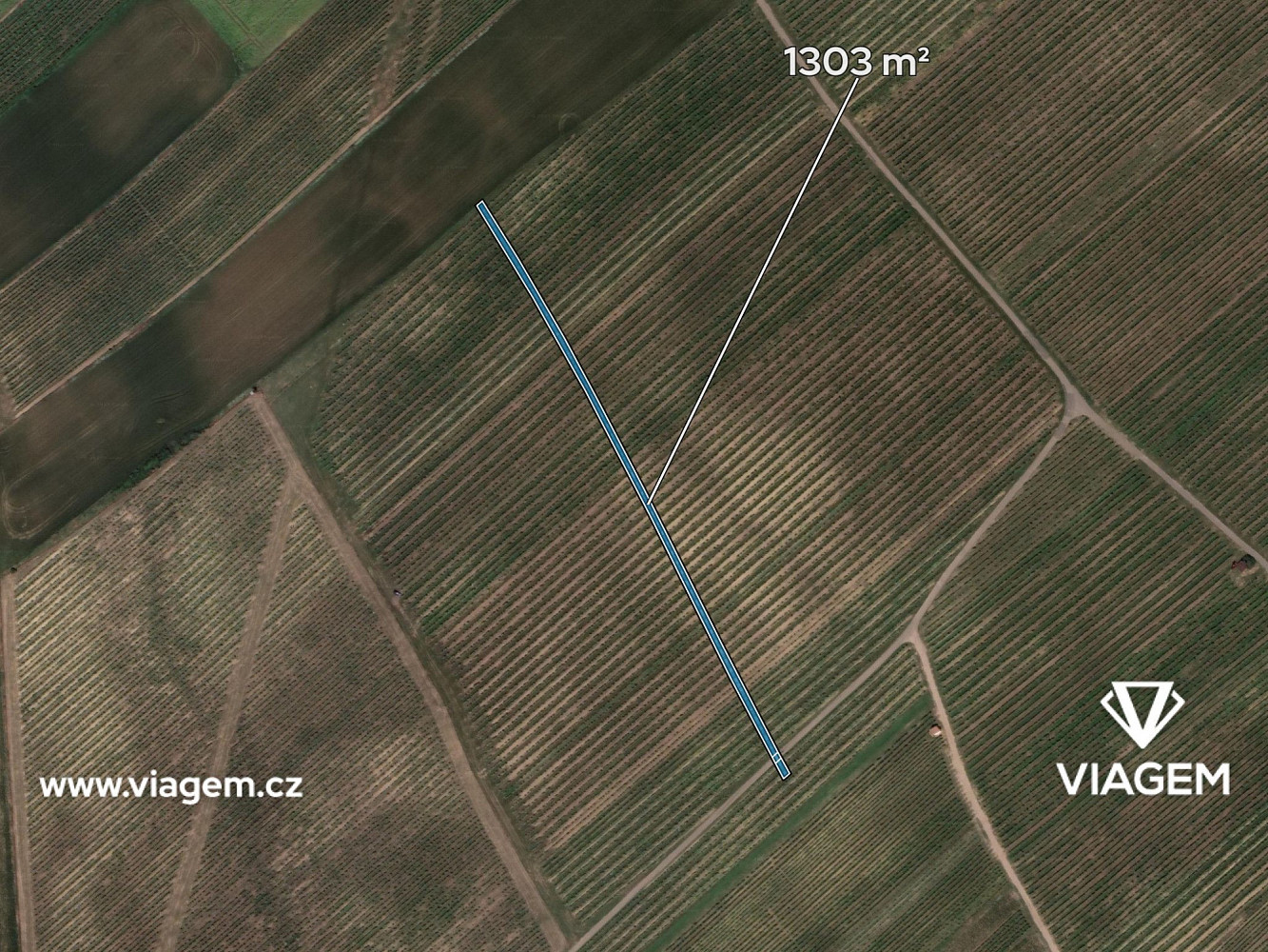 Prodej pole 1 303 m² – fotografie 2