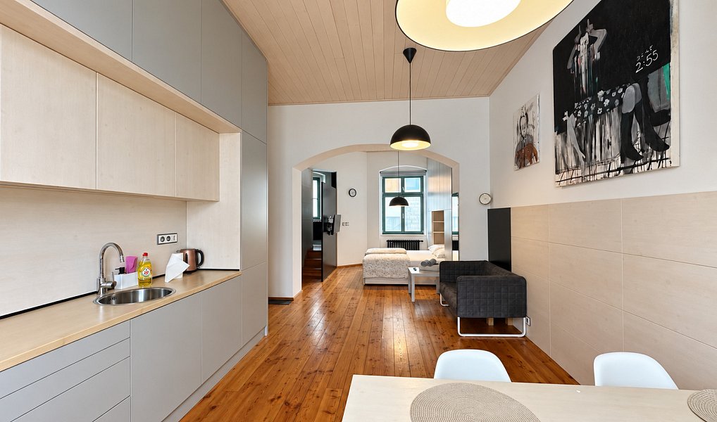 Pronájem bytu 1+kk 42 m², Plzeň – náhled fotky 3