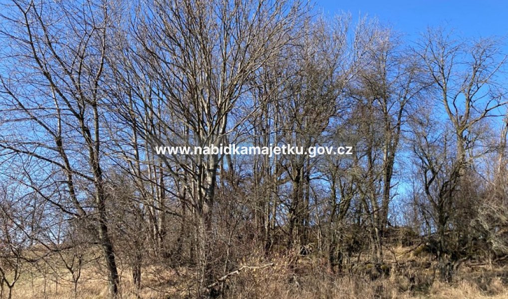 Prodej pole 1 298 m², Prosetín – náhled fotky 2