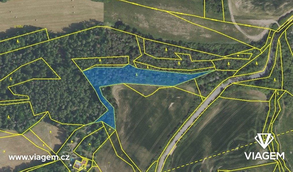 Prodej lesa 2 849 m², Čím – náhled fotky 2