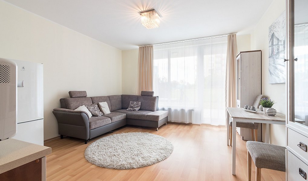 Pronájem bytu 1+kk 29 m², Praha – fotka 1 z 15