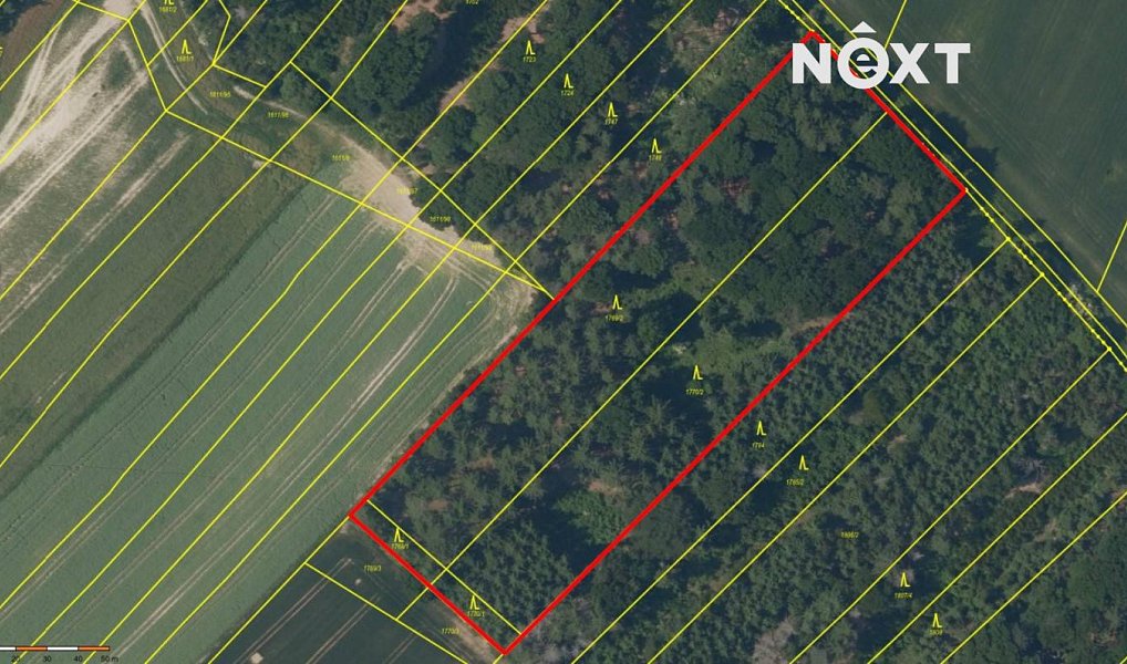 Prodej lesa 26 205 m², Třeboc – náhled fotky 3