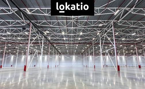 Pronájem skladovacích prostor 5 119 m², Plzeň