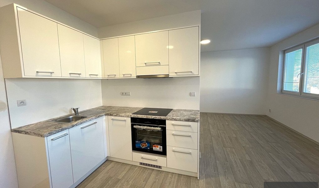 Pronájem bytu 2+kk 58 m², Boršice u Blatnice – náhled fotky 2