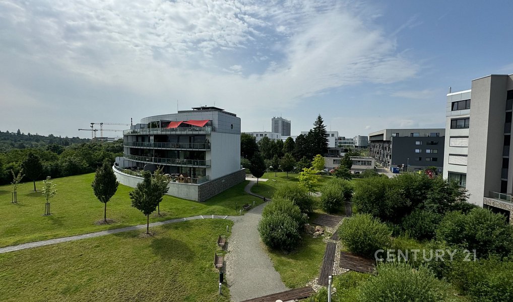 Prodej bytu 4+kk 135 m², Brno – náhled fotky 16