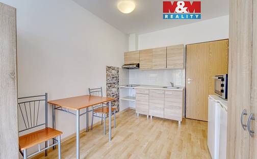 Pronájem bytu 1+1 23 m², Nepomucká, Plzeň