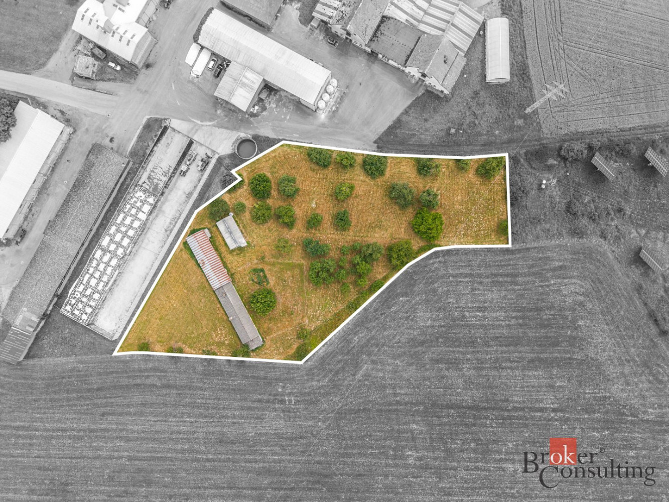 Prodej komerčního pozemku 5 636 m² – fotografie 2