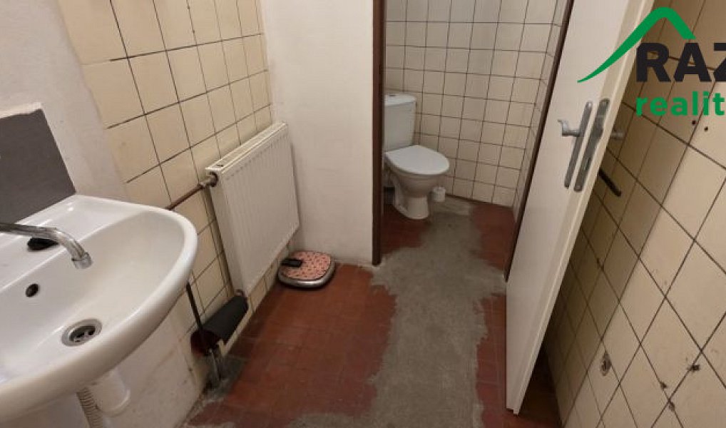 Pronájem výrobních prostor 249 m², Planá – náhled fotky 12