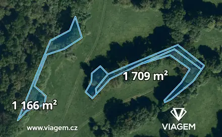 Prodej lesa 2 875 m², Suchdol nad Odrou, okres Nový Jičín