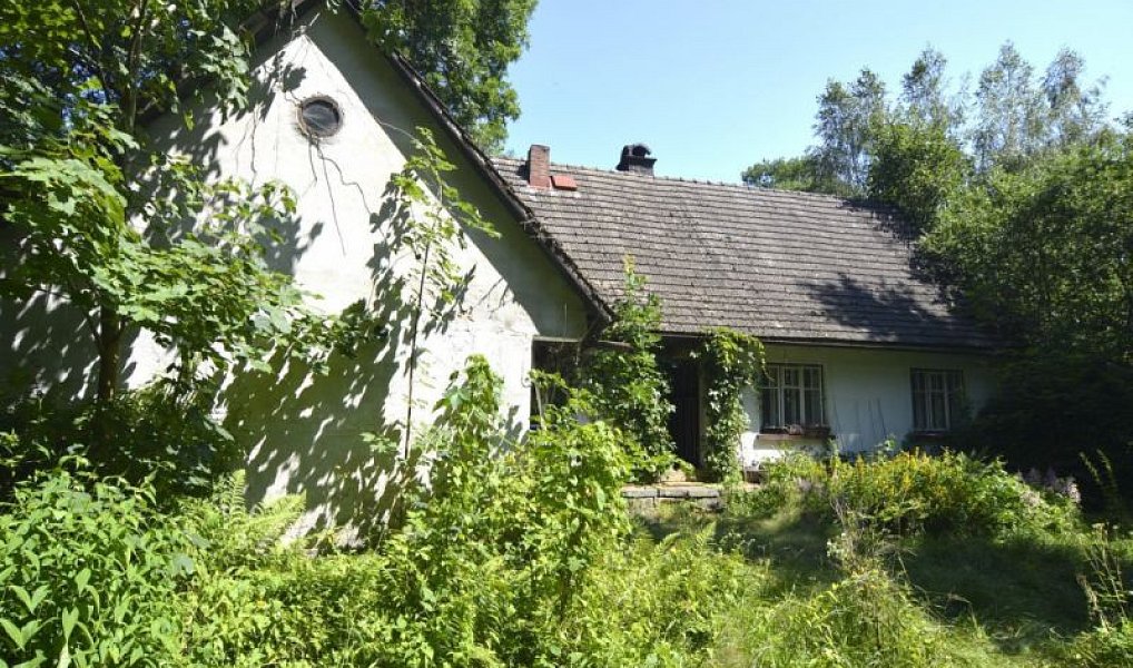 Prodej chaty/chalupy 120 m² s pozemkem 4 183 m², Horní Brusnice – náhled fotky 6