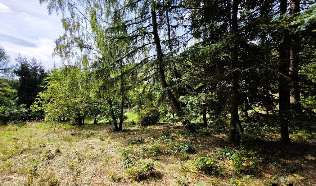 Prodej domu 160 m² s pozemkem 2 306 m², Litvínov – náhled fotky 24