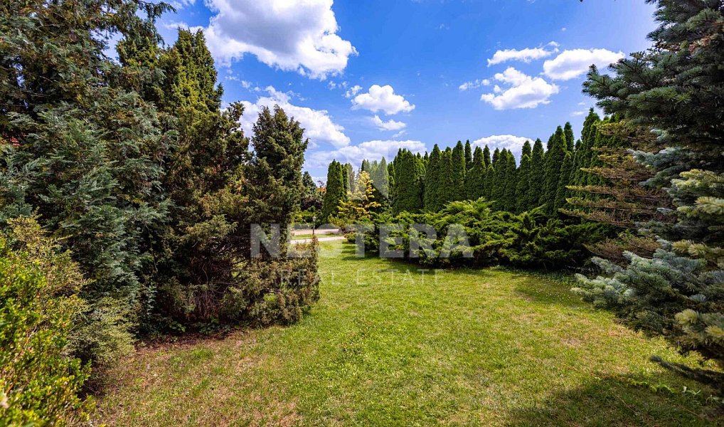 Prodej domu 444 m² s pozemkem 2 325 m², Vestec – náhled fotky 36
