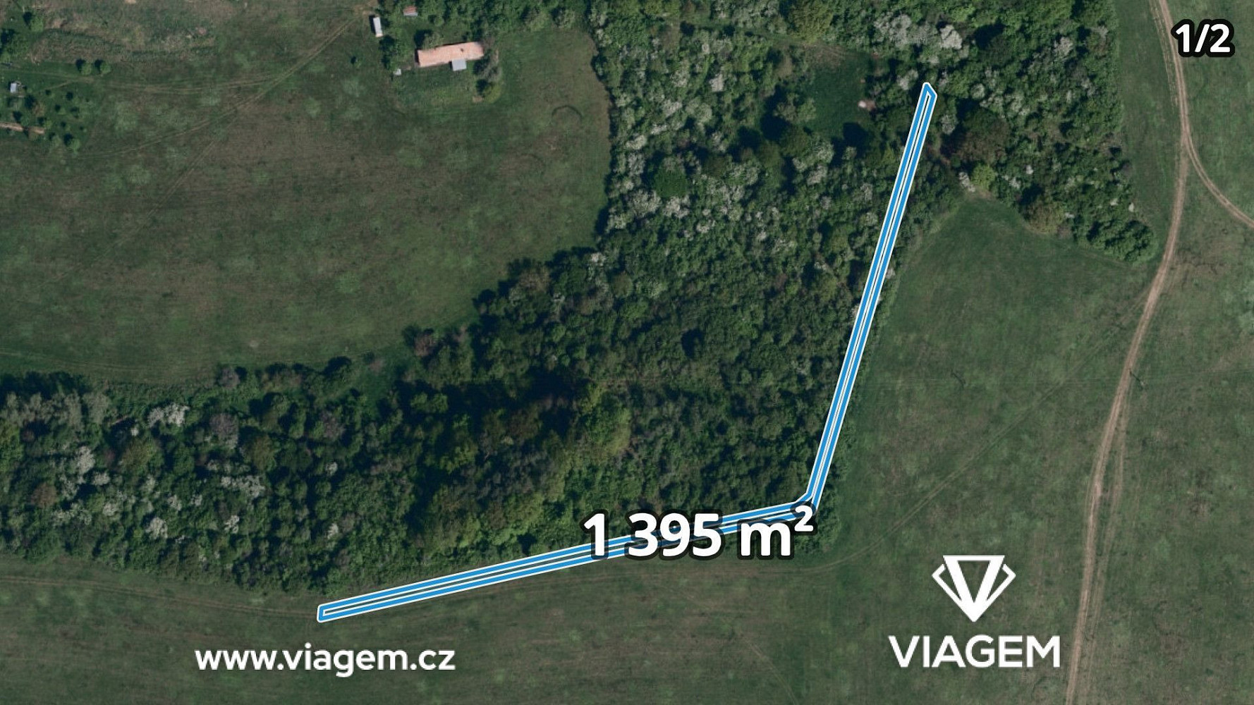 Prodej lesa 4 655 m²