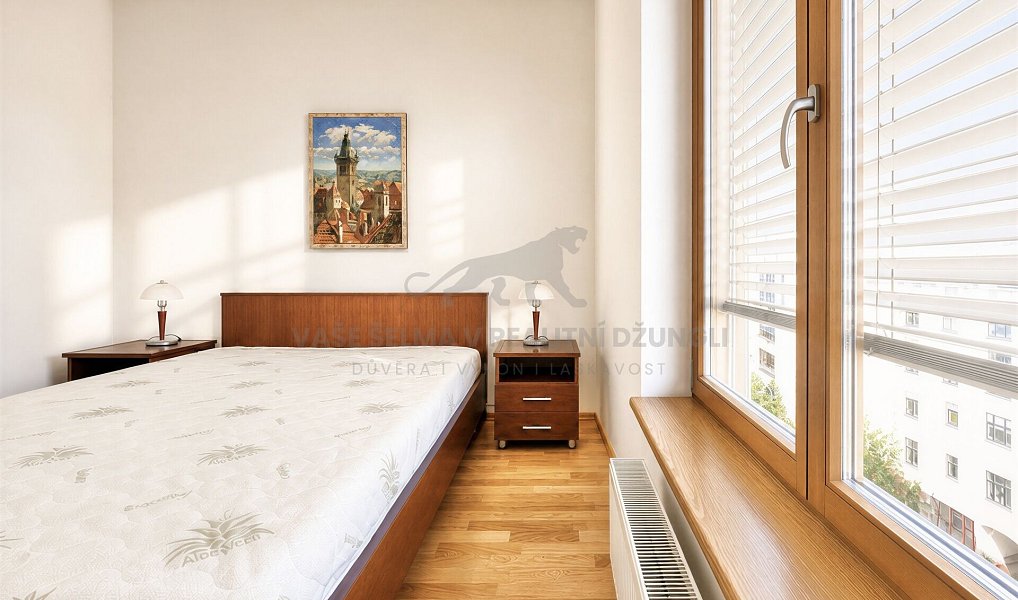 Pronájem bytu 2+kk 45 m², Praha – náhled fotky 17