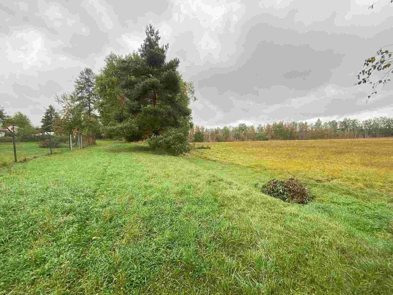 Prodej pozemku 15 915 m² – fotografie 4