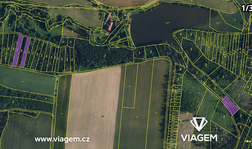 Prodej lesa 12 665 m², Radkovice u Budče – náhled fotky 4
