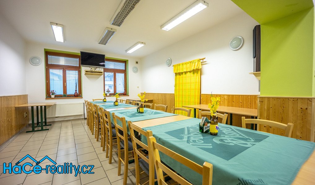 Prodej komerčního objektu (jiného typu) 572 m², Slatina nad Zdobnicí – náhled fotky 6