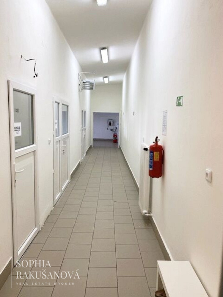 Prodej komerčního objektu (jiného typu) 700 m² – fotografie 3
