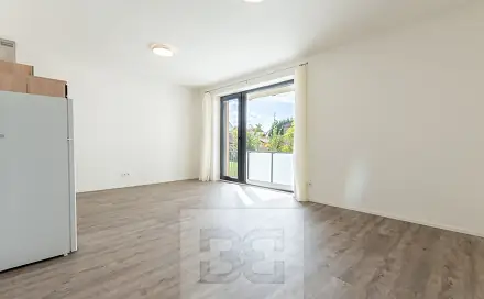 Pronájem bytu 1+kk 37 m²