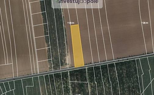 Prodej pole 4 934 m², Jeneč, okres Praha-západ