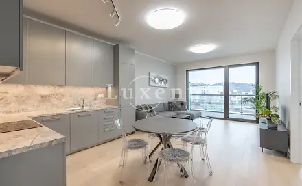 Pronájem bytu 2+kk 60 m², Jankovcova, Praha 7 - Holešovice